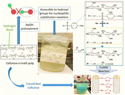 Graphical abstract: Click chemistry modifications for the selective crosslinking of wood pulp fibers – effect on the physical and mechanical properties of paper