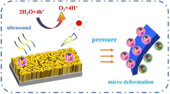 Graphical abstract: Amorphous CoB layer cooperates with piezoelectric polarization to boost carrier separation of Bi2WO6 for efficient piezo-PEC performance