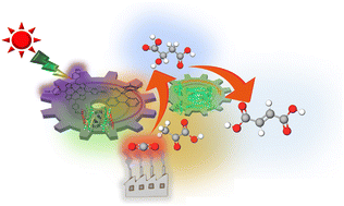 Graphical abstract: Visible-light driven fumarate synthesis from pyruvate and gaseous CO2 with a hybrid system of photocatalytic NADH regeneration and dual biocatalysts