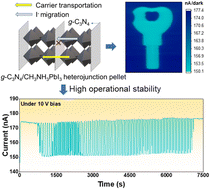 Graphical abstract: Realizing low-ion-migration and highly sensitive X-ray detection by building g-C3N4 and CH3NH3PbI3 bulk heterojunction pellets