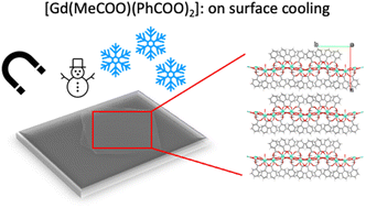 Graphical abstract: On-surface magnetocaloric effect for a van der Waals Gd(iii) 2D MOF grown on Si