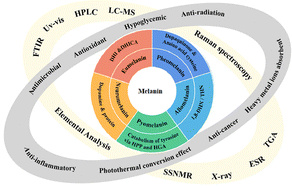 Graphical abstract: Melanin: insights into structure, analysis, and biological activities for future development