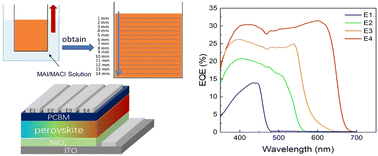 Graphical abstract: Controllable bandgap-gradient halide perovskite films via dip-coating and halide anion exchange for multispectral photodiodes with high performance