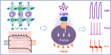 Graphical abstract: Ti3+ self-doping in BaTiO3 ceramic for multi-sensor applications: reduced bandgap with maintained ferroelectric properties