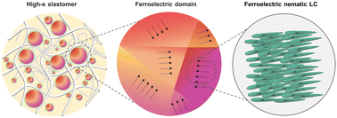 Graphical abstract: High-κ elastomer with dispersed ferroelectric nematic liquid crystal microdroplets