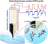 Graphical abstract: Dual-channel nano-carbon-liquid/liquid junction electrodes for multi-modal analysis: redox-active (dopamine) and non-redox-active (acetylcholine)