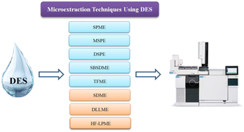 Graphical abstract: Microextraction techniques with deep eutectic solvents for gas chromatographic analysis: a minireview