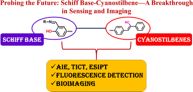 Graphical abstract: Glowing discoveries: Schiff base-cyanostilbene probes illuminating metal ions and biological entities