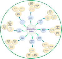 Graphical abstract: Fluorescence imaging-guided surgery: current status and future directions