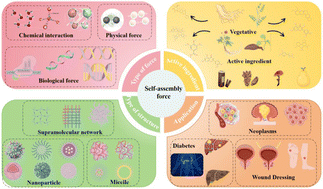 Graphical abstract: Self-assembled carrier-free formulations based on medicinal and food active ingredients