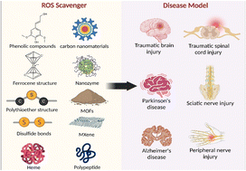 Graphical abstract: Reactive oxygen species-scavenging biomaterials for neural regenerative medicine