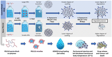 Graphical abstract: Pentablock thermoresponsive hydrogels for chemotherapeutic delivery in a pancreatic cancer model