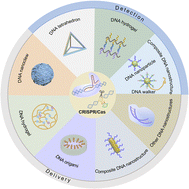 Graphical abstract: CRISPR/Cas systems combined with DNA nanostructures for biomedical applications