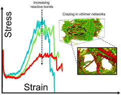 Graphical abstract: Effect of dynamic bond concentration on the mechanical properties of vitrimers