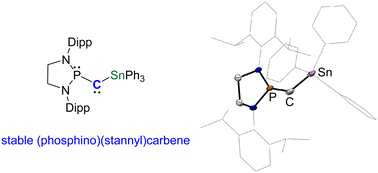 Graphical abstract: (Phosphino)(stannyl)carbene