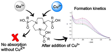 Graphical abstract: A UV-Vis method for investigation of gallium(iii) complexation kinetics with NOTA and TRAP chelators: advantages, limitations and comparison with radiolabelling