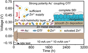 Graphical abstract: Dual-anion chemistry synchronously regulating the solvation structure and electric double layer for durable Zn metal anodes