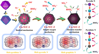 Graphical abstract: Regulating the type of nitrogen to improve the performance of Co–N/C with a confinement effect in peroxymonosulfate activation for the effective degradation of organic pollutants