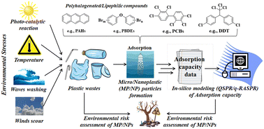 Graphical abstract: QSPR and q-RASPR predictions of the adsorption capacity of polyethylene, polypropylene and polystyrene microplastics for various organic pollutants in diverse aqueous environments