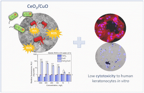 Graphical abstract: Emerging investigator series: CeO2/CuO nanostructured composite with enhanced antimicrobial properties and low cytotoxicity to human keratinocytes in vitro