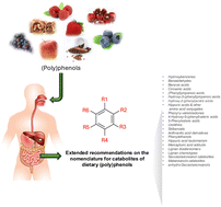 Graphical abstract: Extended recommendations on the nomenclature for microbial catabolites of dietary (poly)phenols, with a focus on isomers