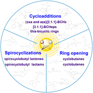 Graphical abstract: Visible light-induced strain-release transformations of bicyclo[1.1.0]butanes