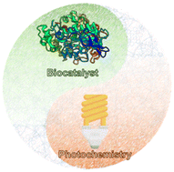 Graphical abstract: The role of reticular chemistry in photoenzymatic reaction