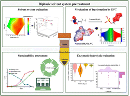 Graphical abstract: Harnessing the potential of biphasic solvent systems in lignocellulosic biomass fractionation through computational insights