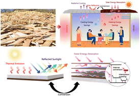 Graphical abstract: Wood waste-derived dual-mode materials paving the way for year-round energy saving in buildings