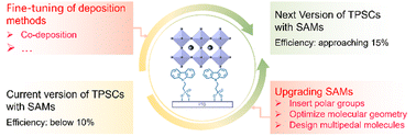 Graphical abstract: Self-assembled monolayers for tin perovskite solar cells: challenges and opportunities