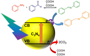 Graphical abstract: Bi-functionality of organic acids as acid catalysts and a hydrogen source for one-pot production of secondary amines from primary amines and aromatic aldehydes over an Au–C3N4 photocatalyst