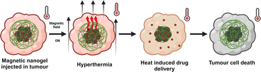 Graphical abstract: Magnetic iron oxide nanogels for combined hyperthermia and drug delivery for cancer treatment