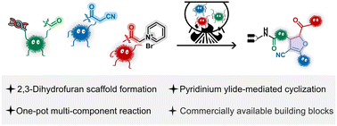 Graphical abstract: DNA-compatible one-pot synthesis of multi-substituted dihydrofuran via pyridinium ylide-mediated cyclization