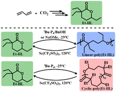 Graphical abstract: Ring-opening polymerization of a tri-substituted six-membered lactone derived from CO2/butadiene