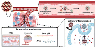 Graphical abstract: Surface functionalization of metal–organic framework nanoparticle for overcoming biological barrier in cancer therapy