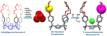 Graphical abstract: Calix[4]pyrrole bis-crowns as ion pair receptors: cation selectivity modulated by counter anions