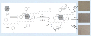 Graphical abstract: Colour and surface functional properties of wool fabrics coated with gallnut, feijoa skin, and mango seed kernel tannin-stabilised Ag nanoparticles