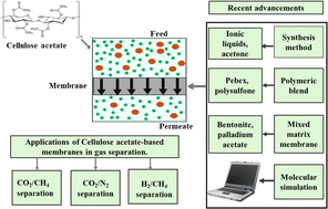Graphical abstract: A review on recent advances of cellulose acetate membranes for gas separation