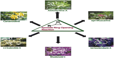 Graphical abstract: Exploring the synthetic potential of epoxide ring opening reactions toward the synthesis of alkaloids and terpenoids: a review