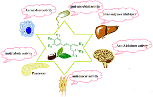 Graphical abstract: Medicinal chemistry perspective on the structure–activity relationship of stilbene derivatives