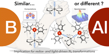 Graphical abstract: Coordination of Al(C6F5)3vs. B(C6F5)3 on group 6 end-on dinitrogen complexes: chemical and structural divergences