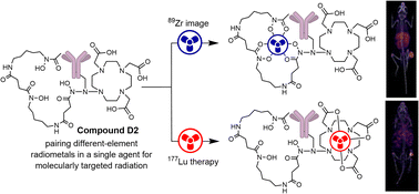 Graphical abstract: A first-in-class dual-chelator theranostic agent designed for use with imaging-therapy radiometal pairs of different elements