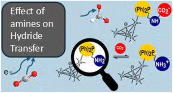 Graphical abstract: Amine groups alter product selectivity and rate of catalytic hydride transfer reactions