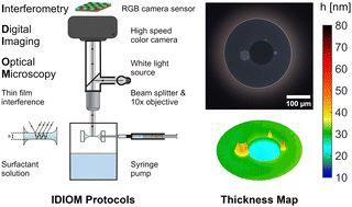 Graphical abstract: Spatiotemporal mapping of nanotopography and thickness transitions of ultrathin foam films