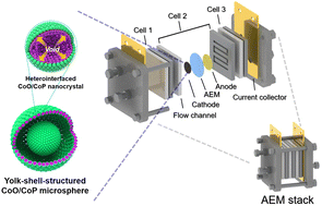 Graphical abstract: Yolk–shell structured microspheres consisting of CoO/CoP hetero-interfaced nanocomposites as highly active hydrogen evolution reaction electrocatalysts for AEM electrolyzer stacks
