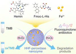 Graphical abstract: Broad-spectrum degradation of fluoroquinolone antibiotics by Hemin-His-Fe nanozymes with peroxidase-like activity