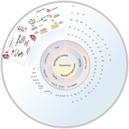 Graphical abstract: A comprehensive review on the role of strontium in biodegradable metals