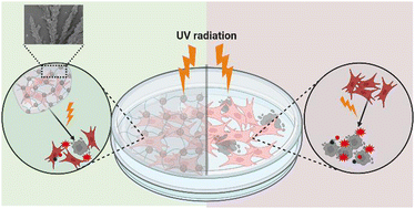 Graphical abstract: Engineering hemin-loaded hyaluronan needle-like microparticles with photoprotective properties against UV-induced tissue damage