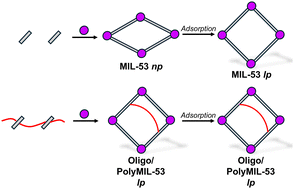 Graphical abstract: Permanently porous oligoMOFs and polyMOFs of MIL-53