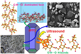 Graphical abstract: Intermittent ultrasound-assisted anti-solvent crystallization for sucralose production with ultra-low aspect ratio and larger crystal size